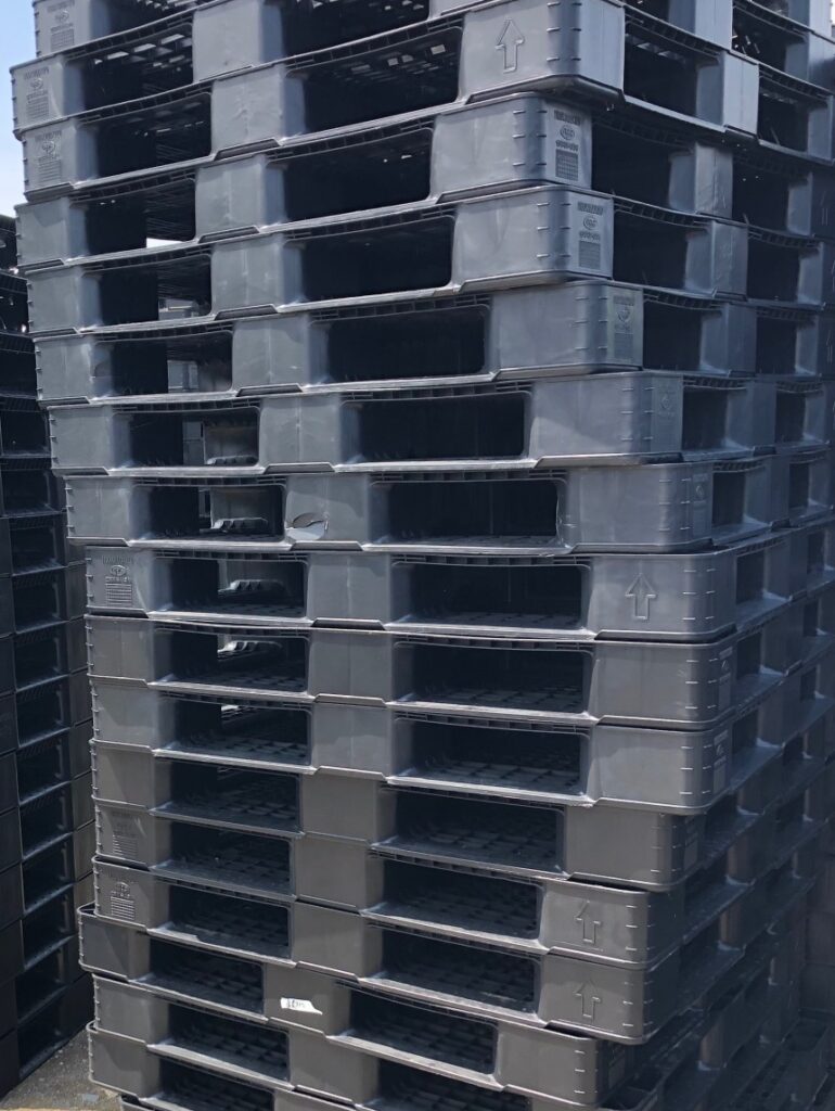 今月の特価商品